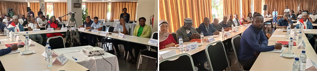 governo niassa direitos humanos fotos